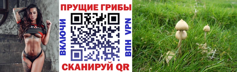 OMG ТОР  Новоульяновск  Галлюциногенные грибы MAGIC MUSHROOMS 